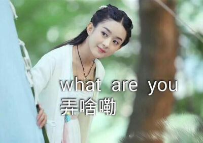 赵丽颖表情包