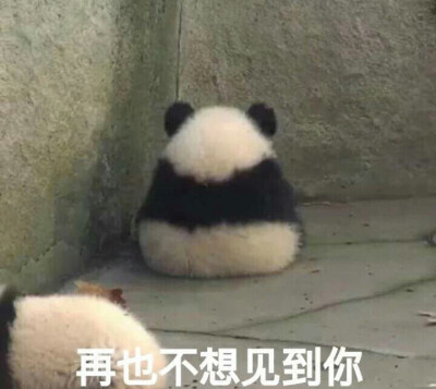 意境 唯美 壁纸 金馆长表情包 天线宝宝 小s 撕逼 斗图 民国 qq表情()