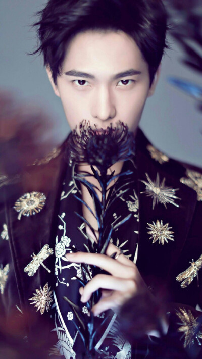 杨洋洋洋洋