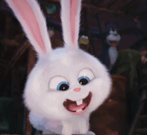 小兔子动画片全集播放图片