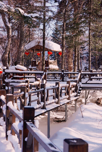 中国雪乡,走过这样的步行栈道吗?