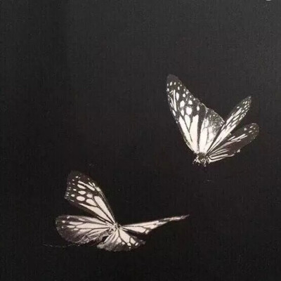 壁纸港味ins复古