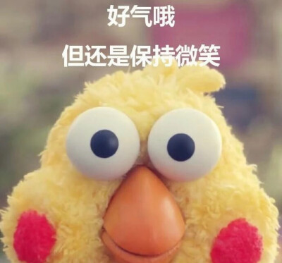 鹦鹉兄弟 脆皮炸鸡 面包糠 搞笑 头像 情侣头像 表情包 可爱 蠢萌 呆