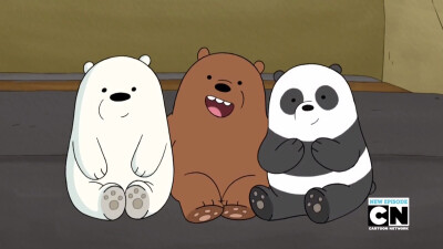 三只裸熊白熊图片高清图片