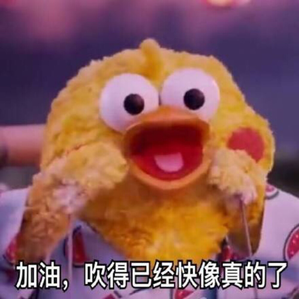 鹦鹉表情包