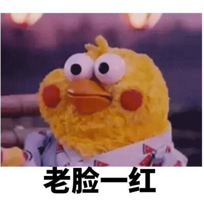 【鹦鹉兄弟系列】老脸一红