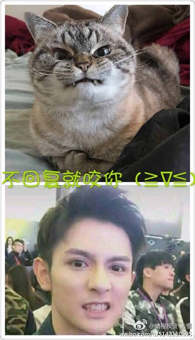 表情包表情包表情包表情包 黄靖翔