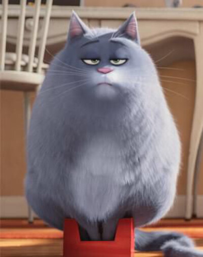 猫 爱宠大机密的动物