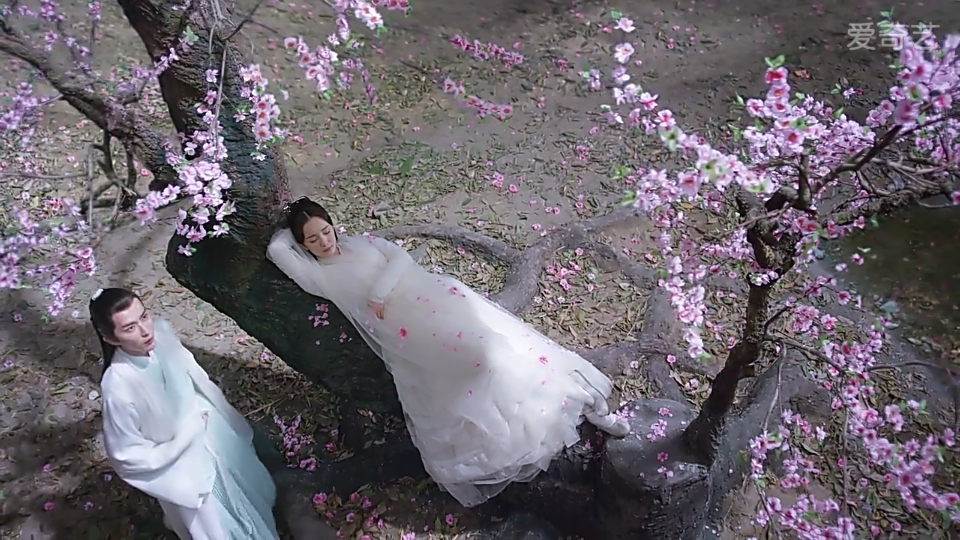 三生三世十里桃花,白浅