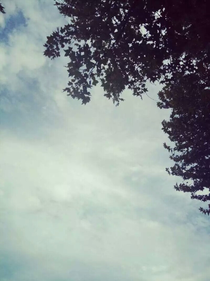手拍,天空壁纸