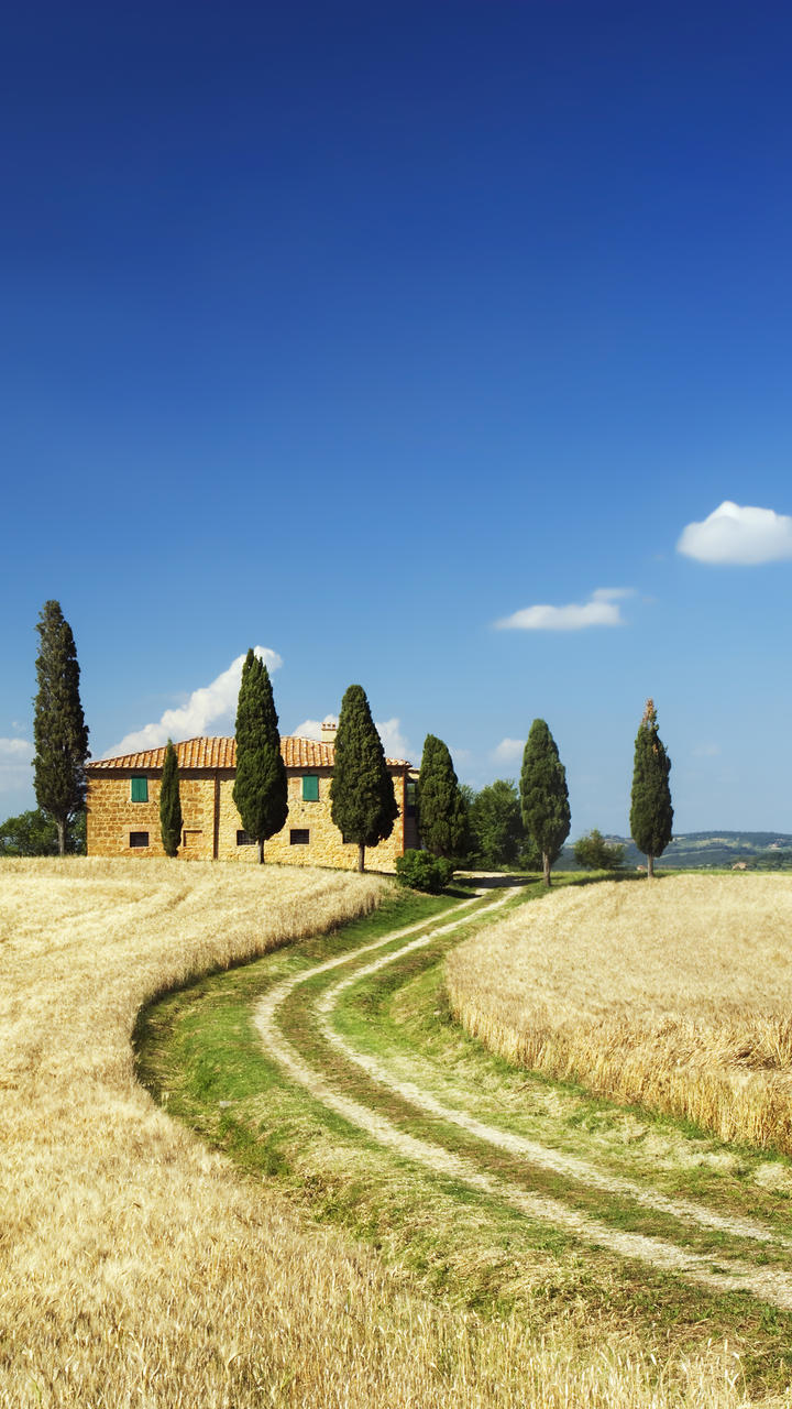 壁纸 背景图片 静物 风景 城市 乡村 鲜花 花瓶 天空 灯火 建筑物