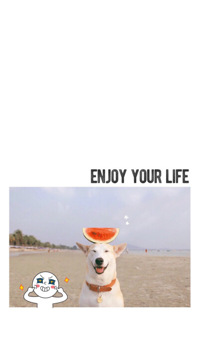 enjoy life