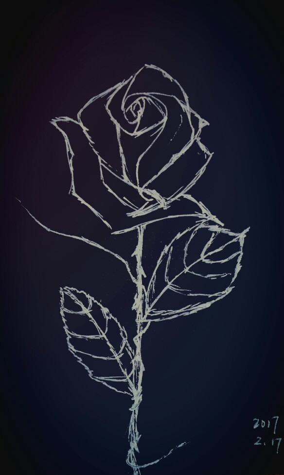 黑白玫瑰手机壁纸图片