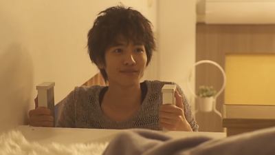 宠物情人2017