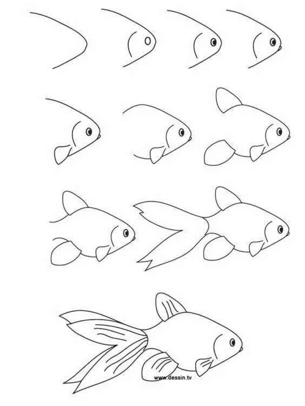 金鱼简单画法图片