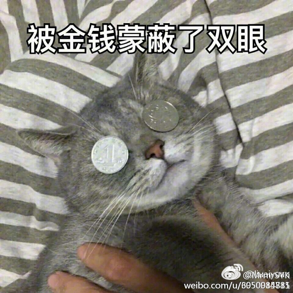 被金钱蒙蔽了双眼