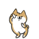 doge微博