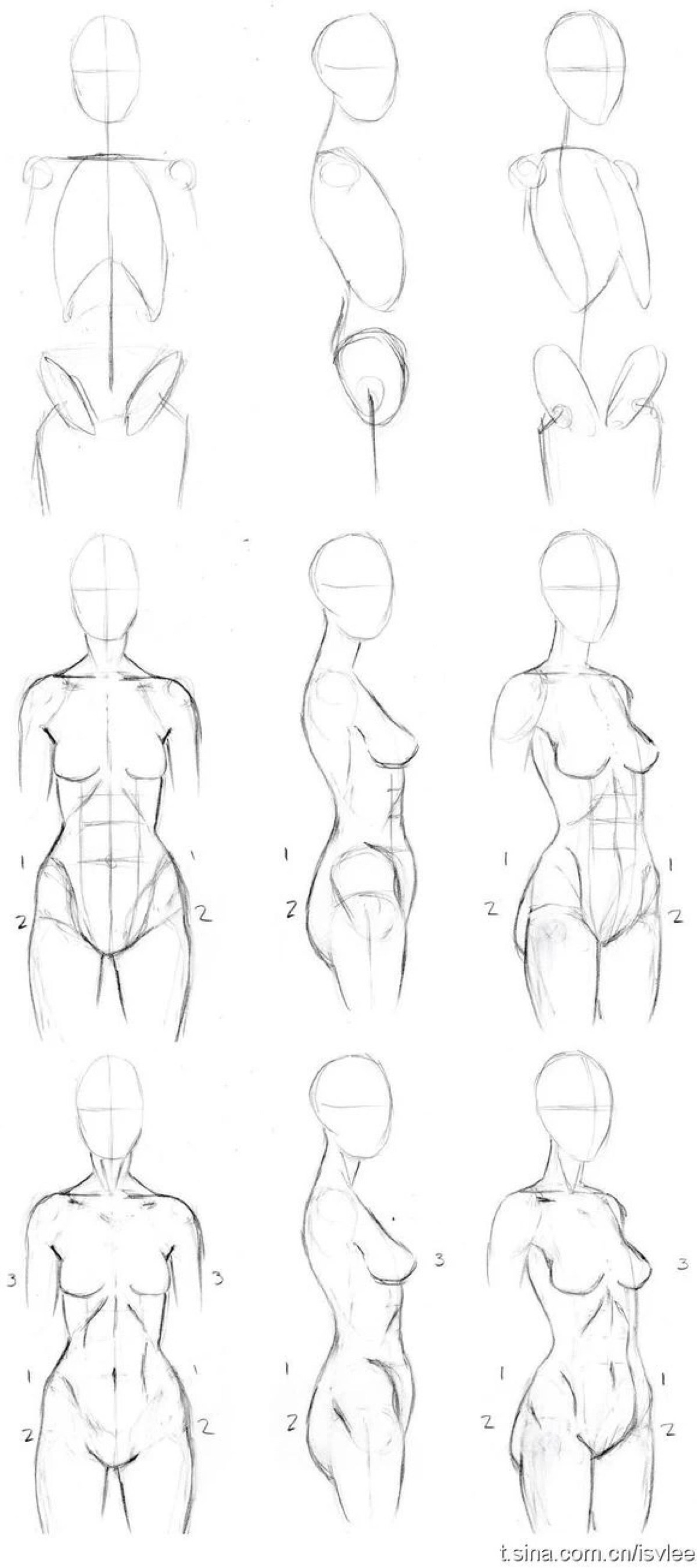 人体结构图简笔画画法图片