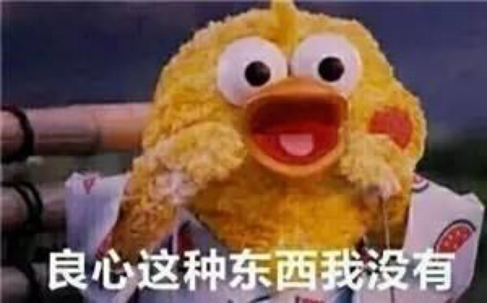 鹦鹉兄弟没良心系列