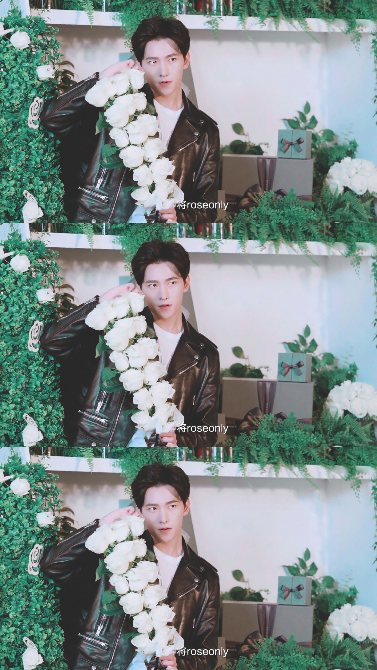 【拼图系列】杨洋 咩咩 吼吼看 - 堆糖,美图壁纸兴趣社区