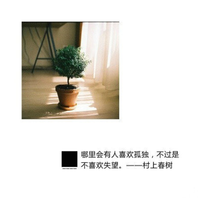 村上春树的经典语录做成的带字的图片,读起来依旧那么美,搭配着图片