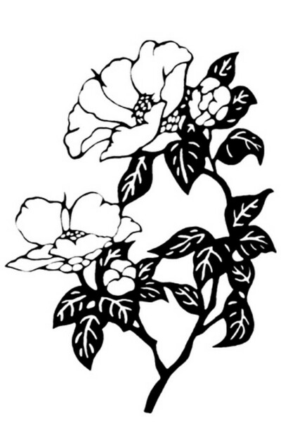 发布到  默认专辑 图片评论 0条  收集   点赞  评论  黑白装饰画