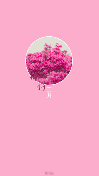 二月]#月份/节日/风景/花朵/英文/文字/文艺/壁纸/手机壁纸/锁屏壁纸