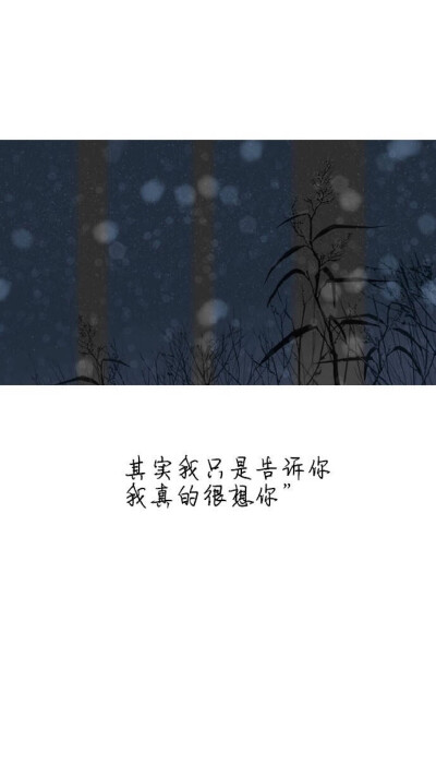 文字