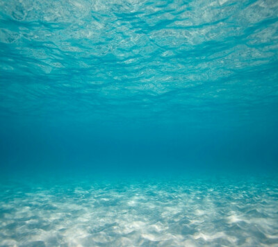 深海唯美高清晰图片