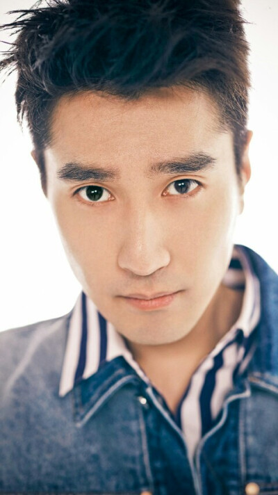 三生三世十里桃花赵又廷