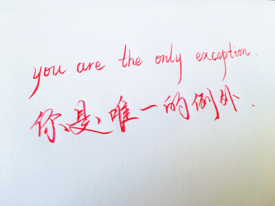 你是唯一的例外