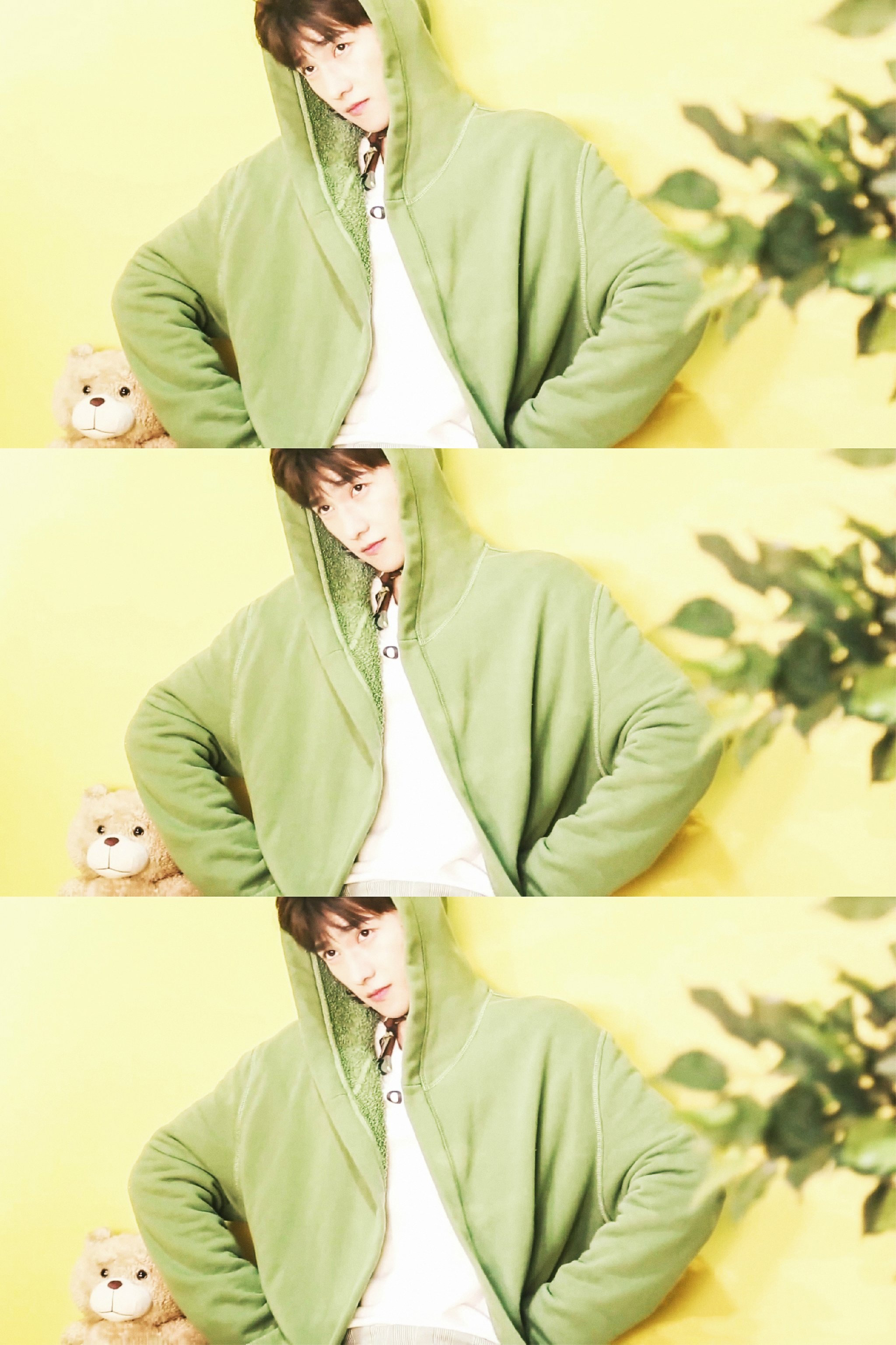 杨洋 拼图 暖色调真的是萌cry - 堆糖,美图壁纸兴趣社区