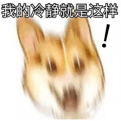 这就是我的冷静