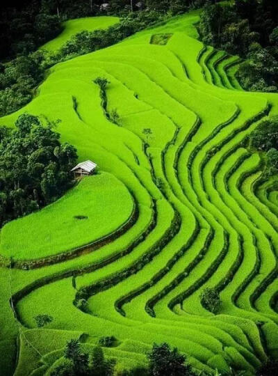 风景这边独好——梯田