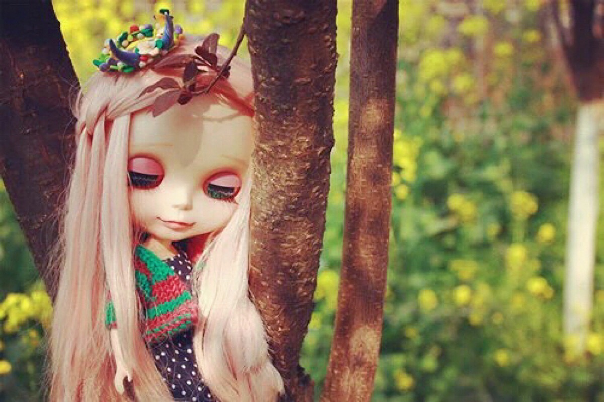 blythe小布萌萌哒 - 堆糖,美图壁纸兴趣社区