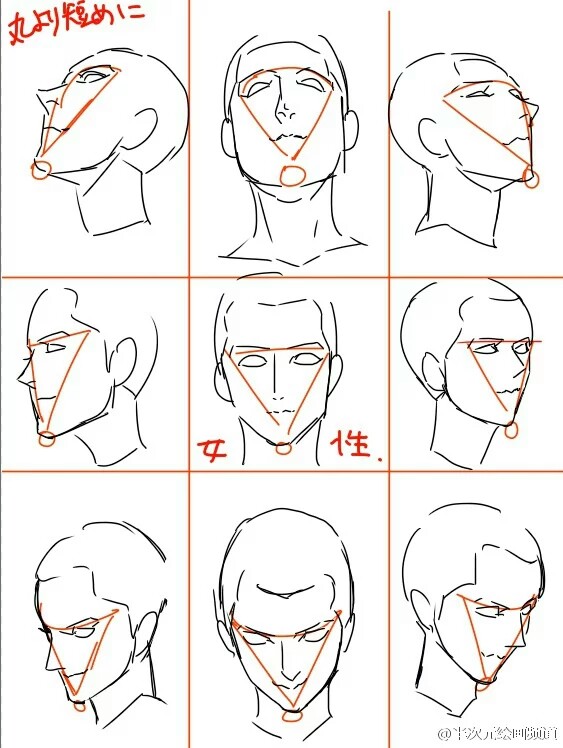 嗷ヽ(*`)五官&头部角度教程,教你区分年龄的画法,了解五官的位置