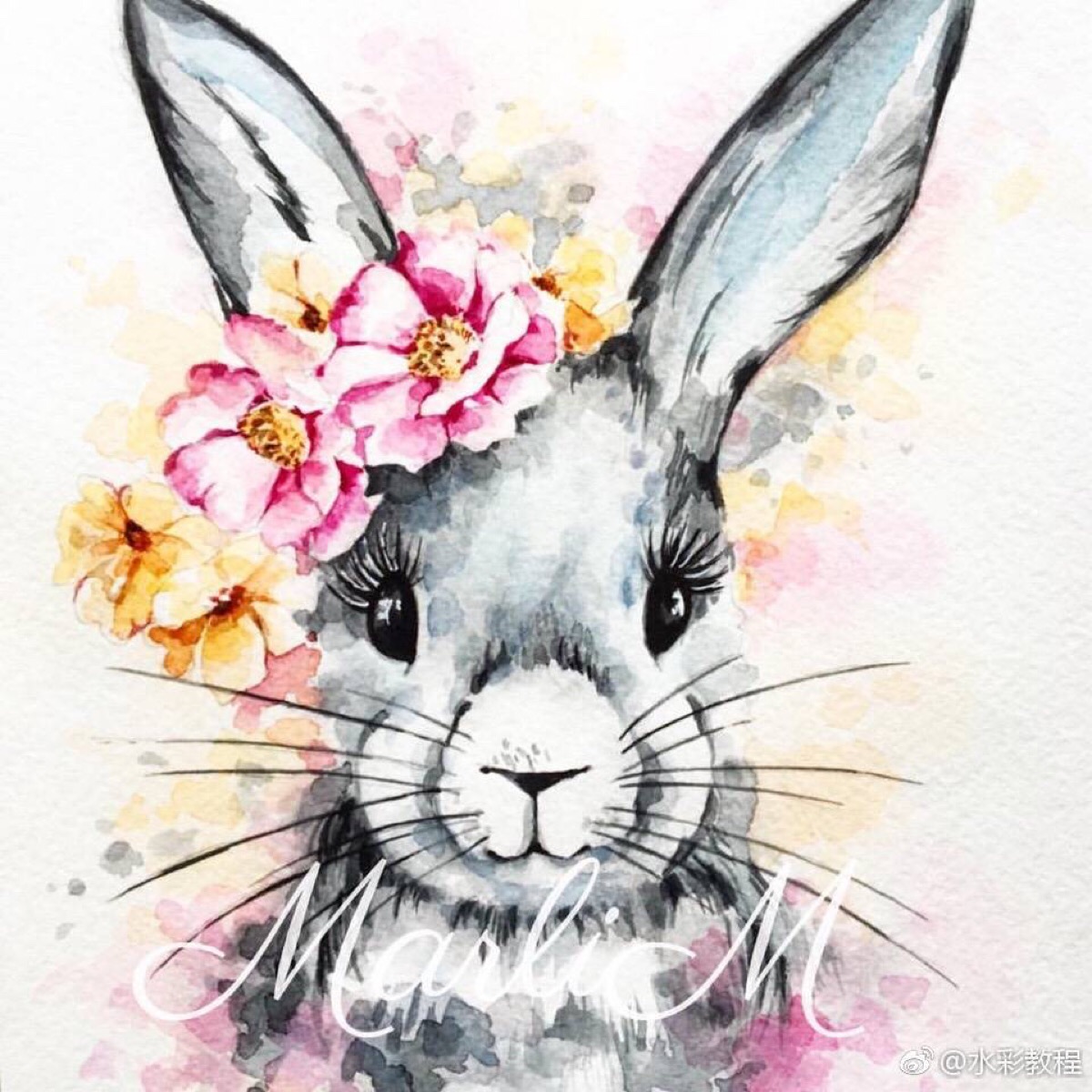 可爱动物水彩