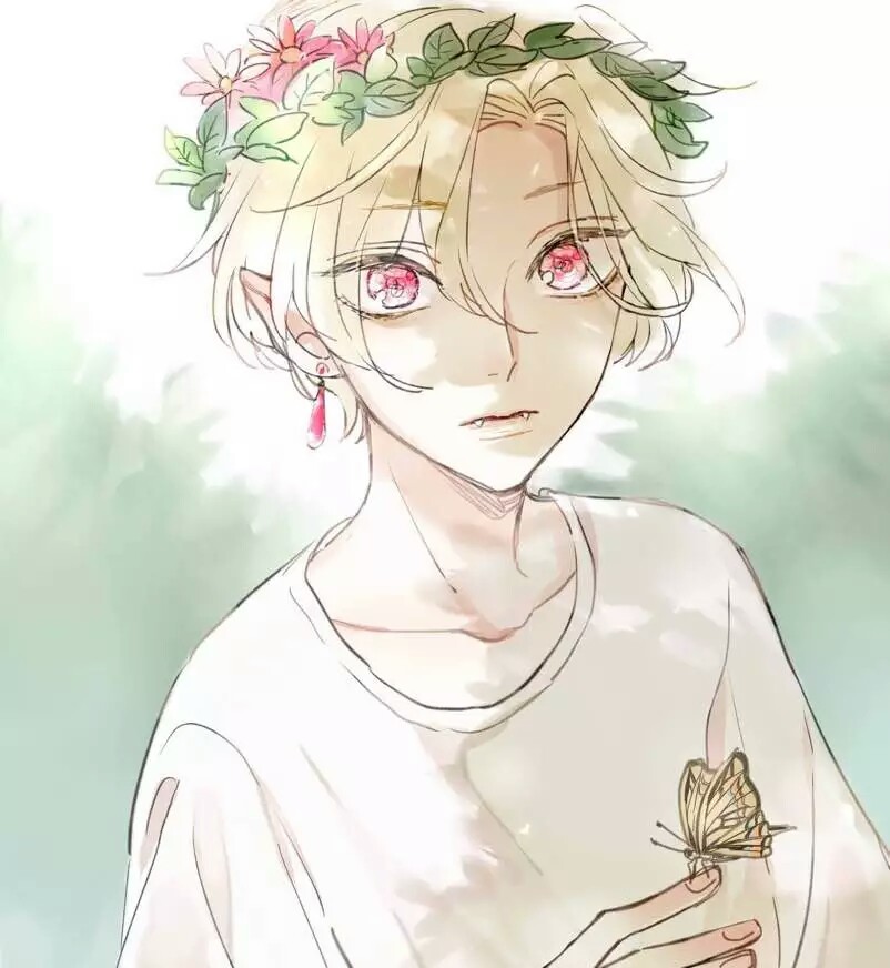 二次元动漫男头精灵美男子