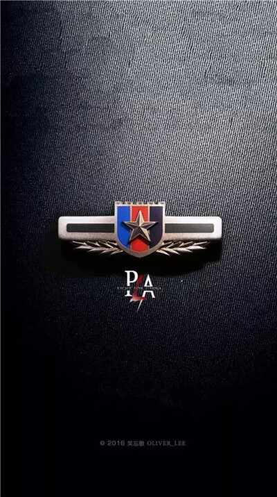 陆军PLA壁纸 胸标图片