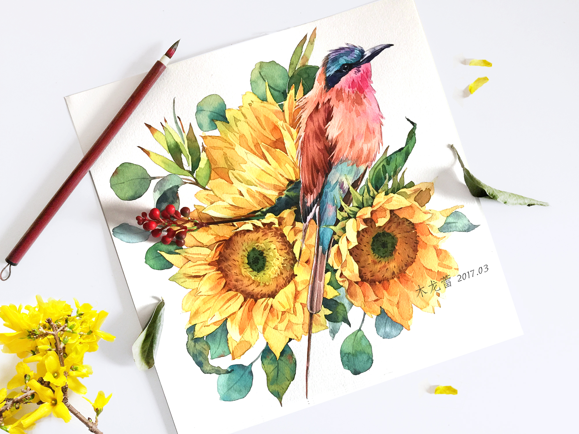 木龙蕾/绘 水彩 插画 向日葵 手绘 清新 花卉
