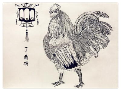 十二生肖线描画鸡图片