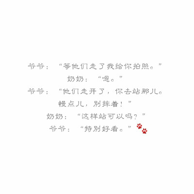 我们羡慕的爱情啊 文字