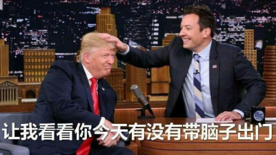 表情包【让我看看你今天有没有带脑子出门】