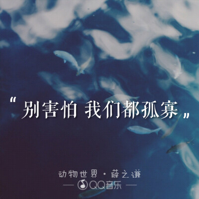 动物世界薛之谦