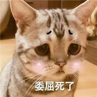 每日一喵##猫径地图# 1 4 神经f病  发布到  mao 图片评论 0条  收集