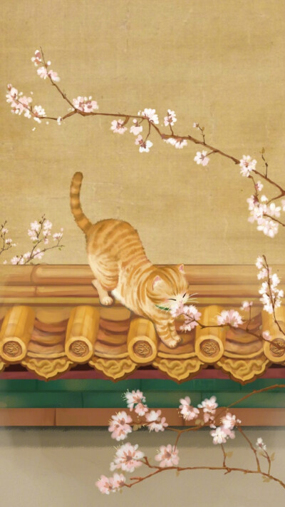 故宫博物院宫猫记