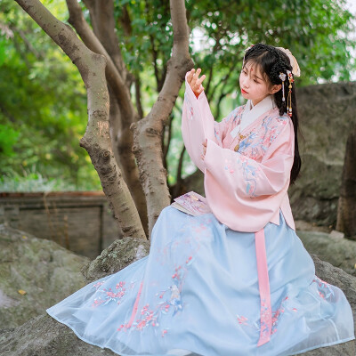 汉尚华莲传统汉服女装秋冬重工绣花明制交领袄裙琵琶袖日常襦裙