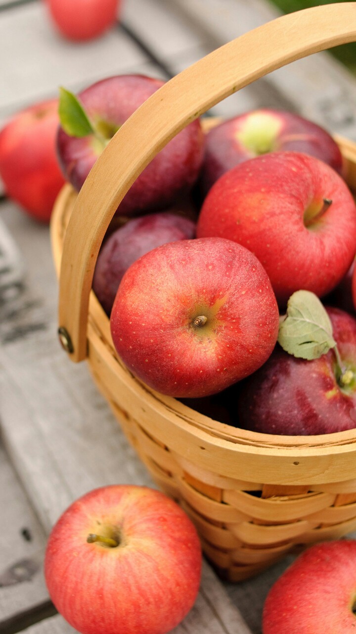 苹果是一种低热量食物,果实富含矿物质和维生素,是人们经常食用的水果
