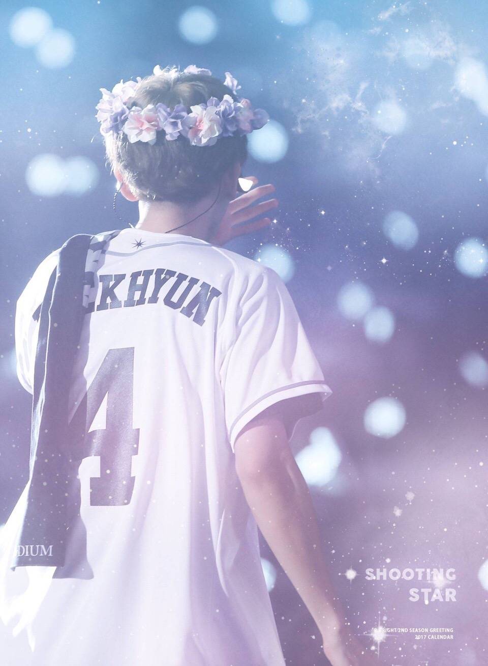 边伯贤 exo三巡演唱会 the exo'rdium 花环 背影 梦幻 纸花 小咸