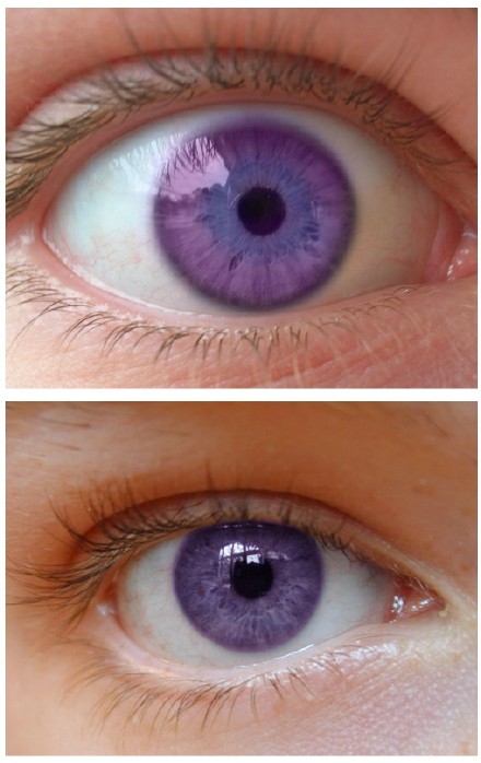紫金色瞳孔图片